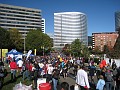 MCM 2011 265